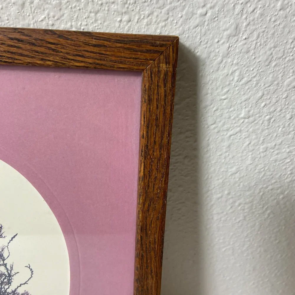 Original Litbograph Handcrafted Seaweed  Hawaiian Reefs